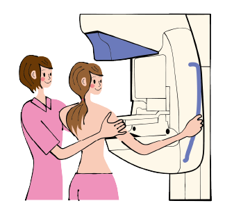 乳がん検診マンモグラフィのイメージイラスト